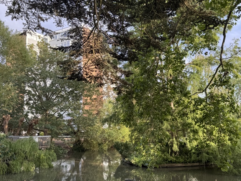 The Grange tower and mature trees beside the estate lake