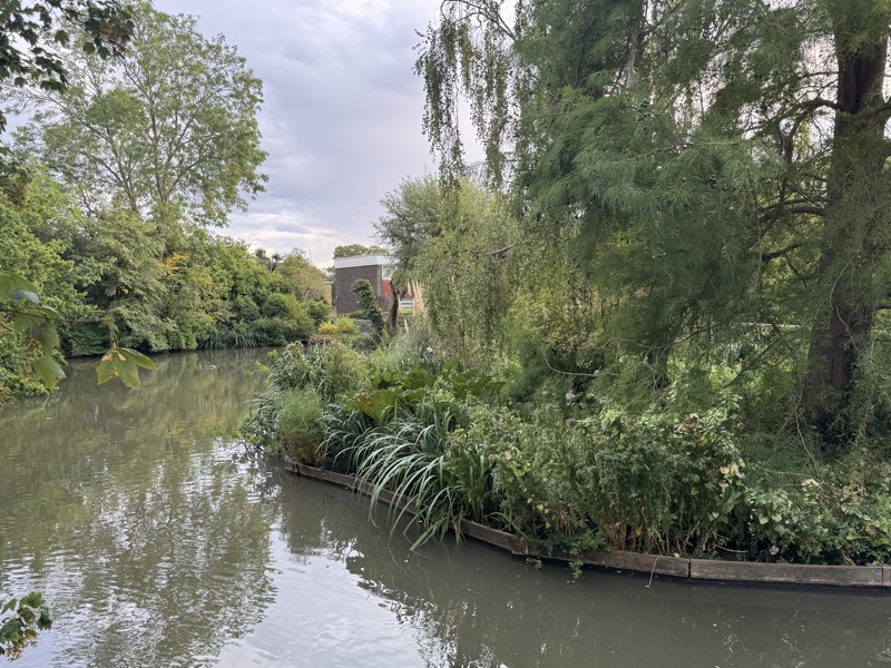 Lush planting and mature trees around The Grange lake